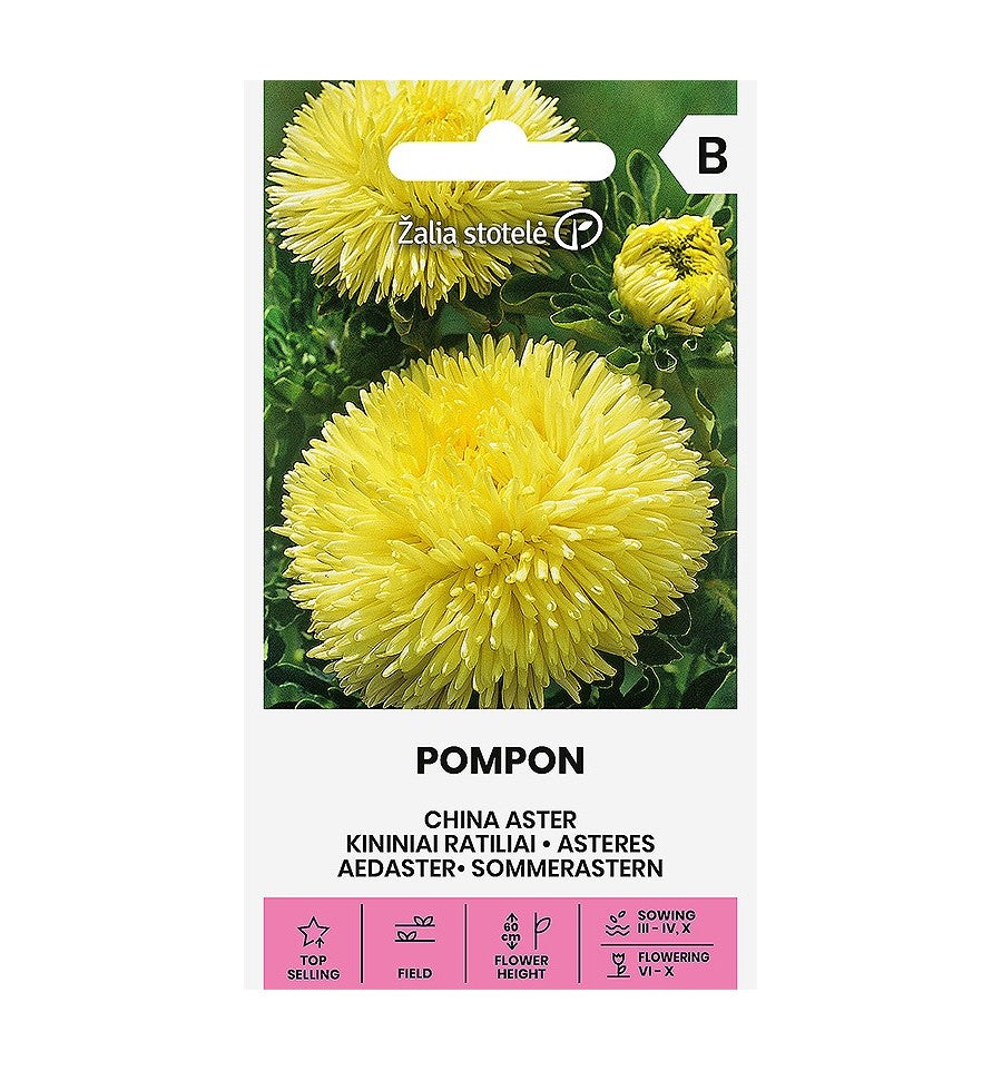 Sommaraster Pompon Yellow Frö
