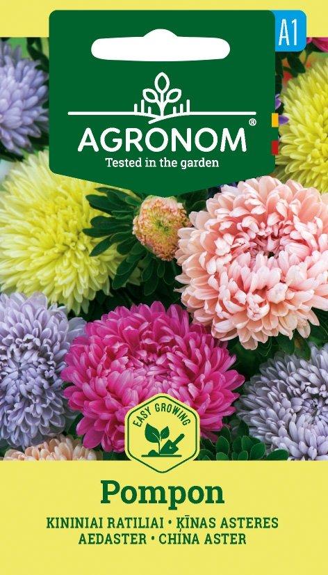 Aster Pompon Mix Frö