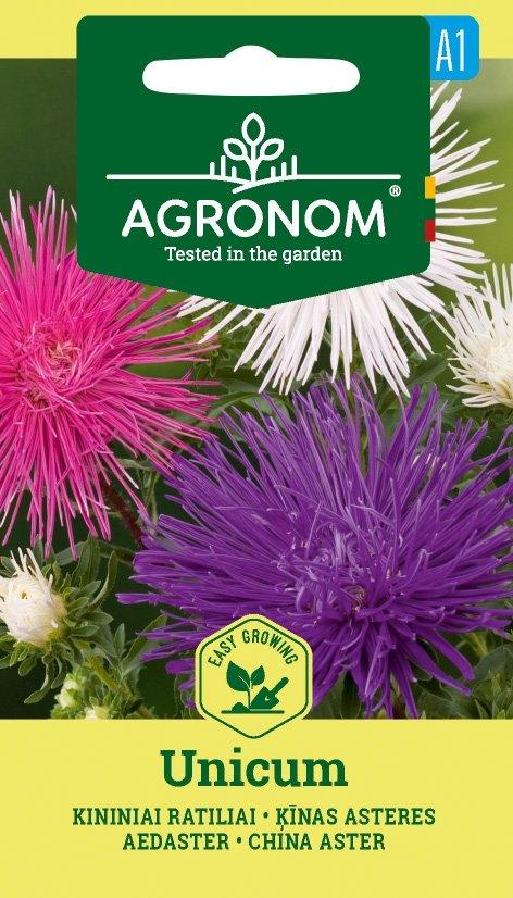 Aster Unicum Pink Frö