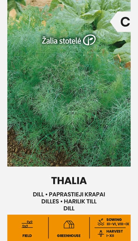 Bladdill Thalia Frö