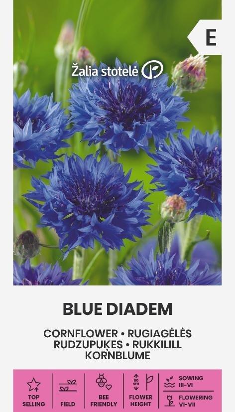 Blåklint Blue Diadem Frö