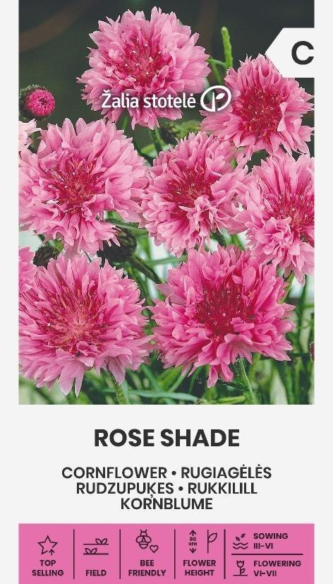 Blåklint Rose Shade Frö
