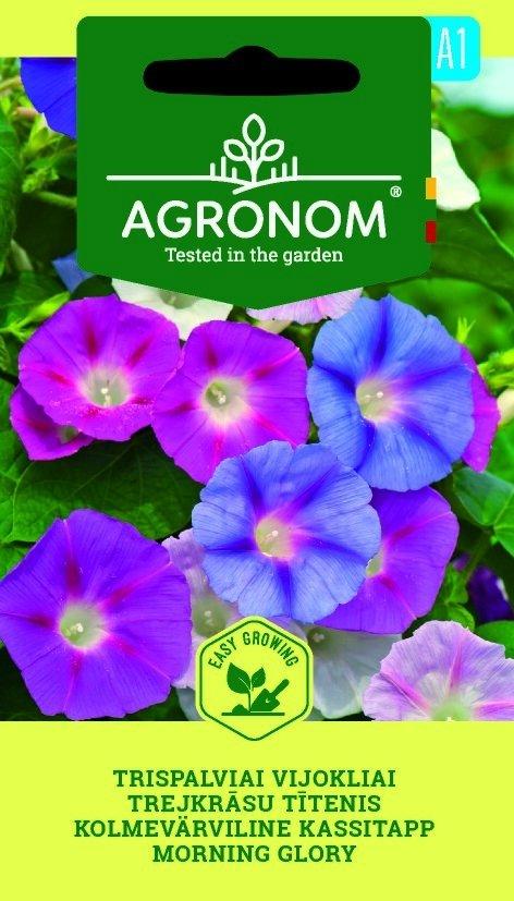 Blomman för dagen Frö