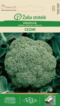 Broccoli Cezar Frö