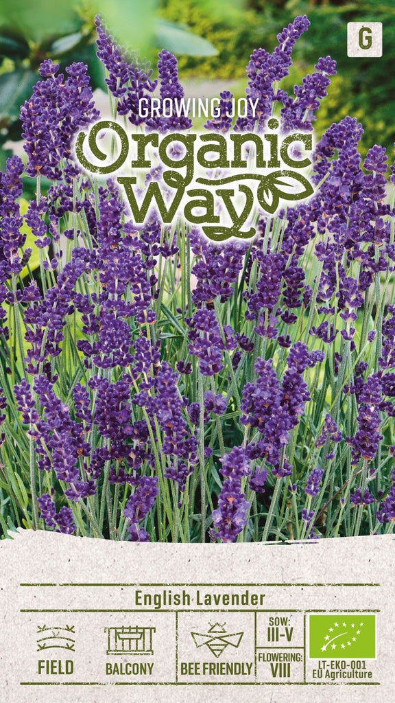 Lavendel Ekologisk Frö