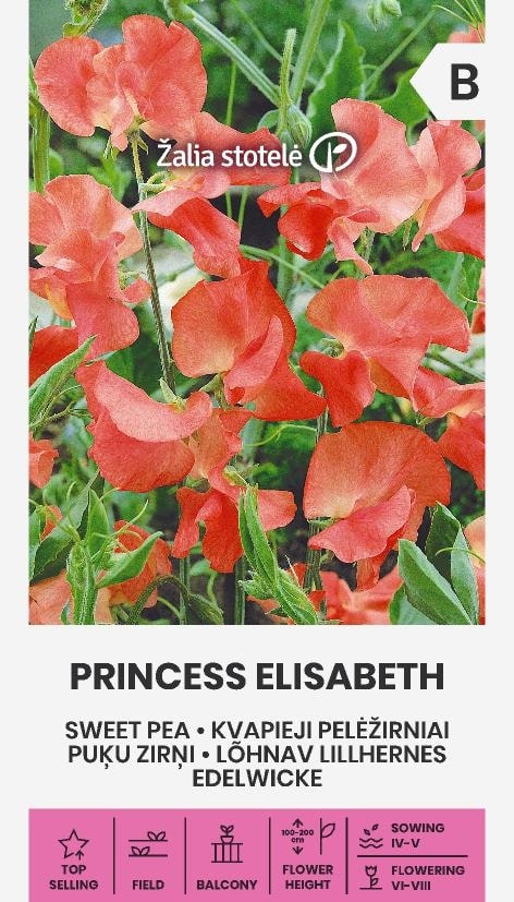Luktärt Princess Elisabeth Frö