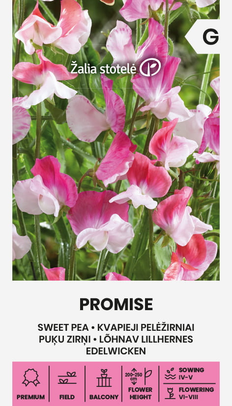 Luktärt Promise Frö