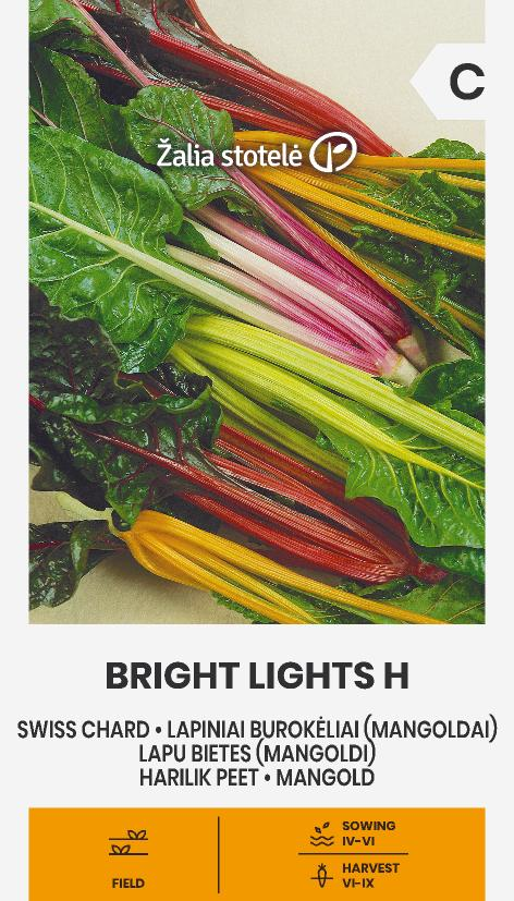 Mangold 'Bright Lights'