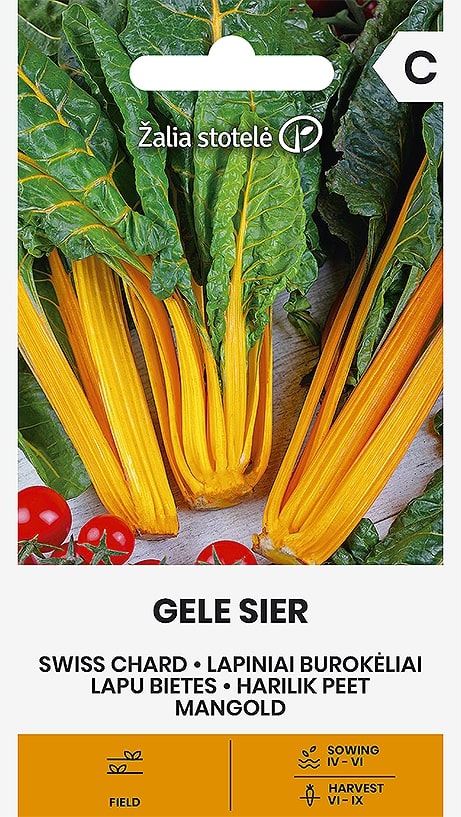 Mangold Gele Sier Frö