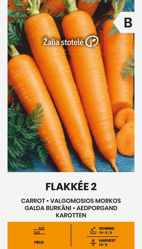 Höstmorot 'Flakkee 2'