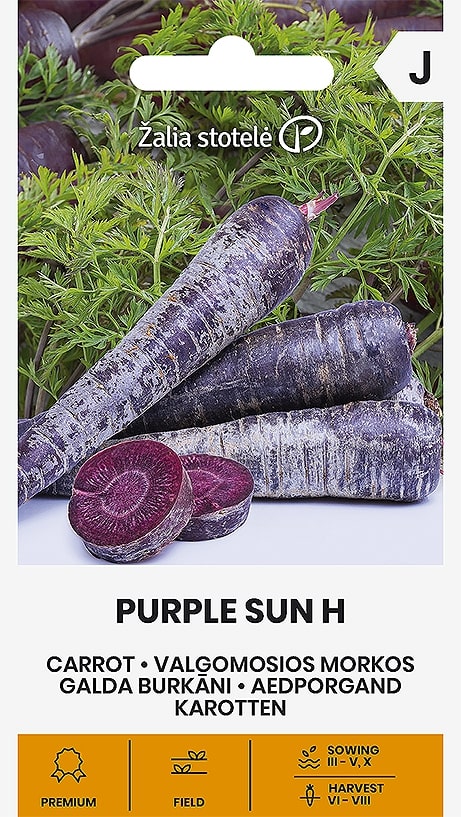 Morot Purple Sun Frö