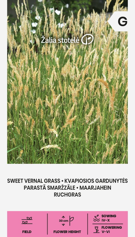 Prydnadsgräs Söt Vernal Frö