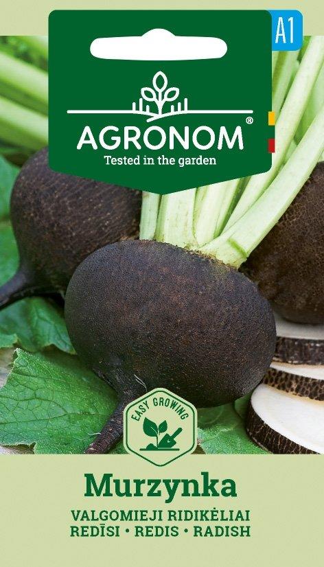Rädisa Murzynka Frö