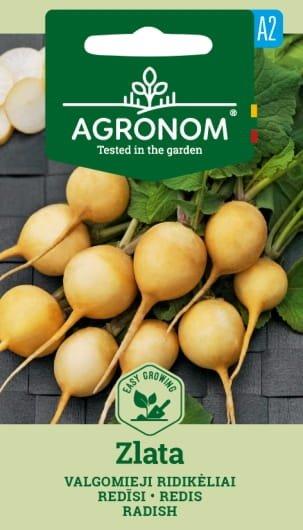 Rädisa Zlata Frö