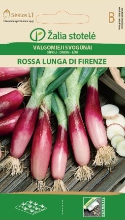Röd salladslök Rossa Lunga Di Firenze Frö