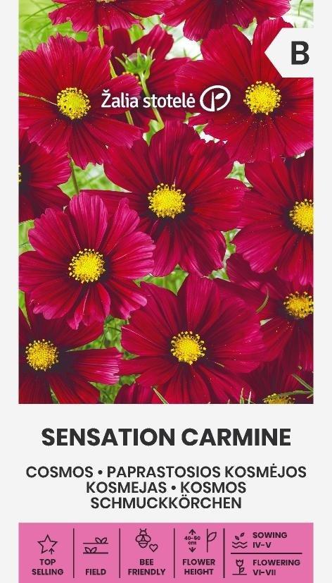 Rosenskära Sensation Carmine Frö