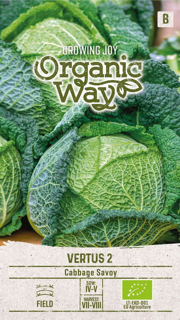 Savoykål Vertus 2 Ekologisk Frö