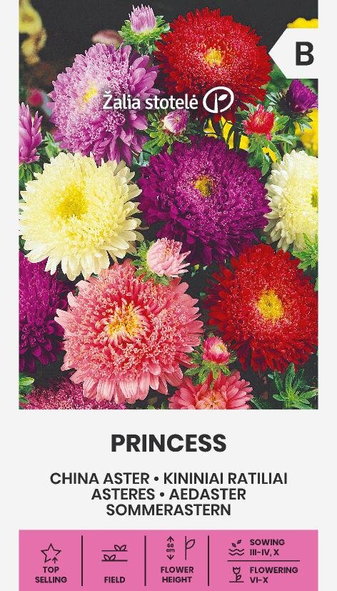 Sommaraster 'Princess Mix'