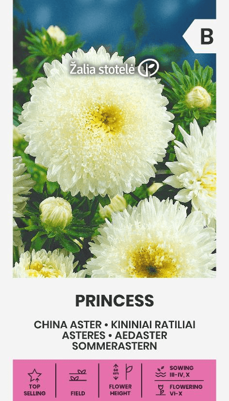 Sommaraster Princess White Frö