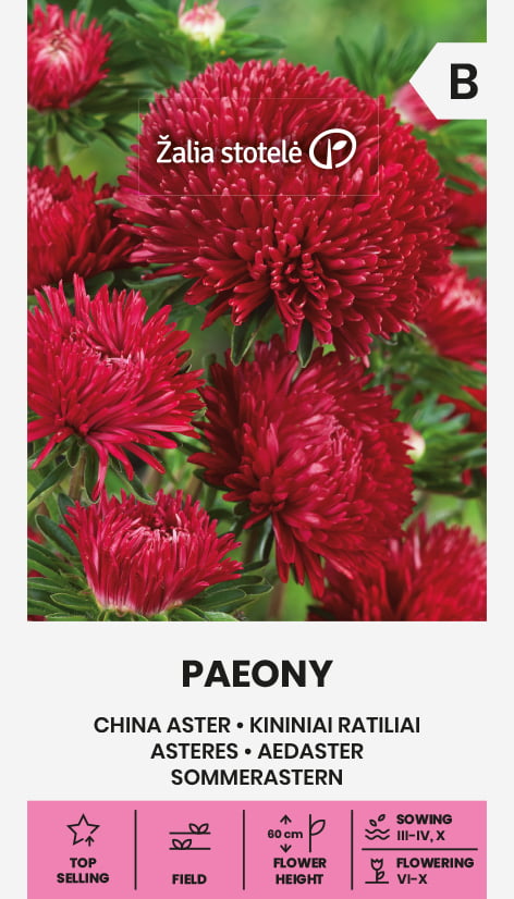 Sommaraster Röd Paeony Frö