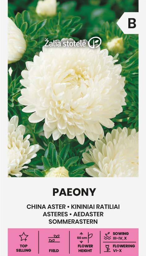 Sommaraster Vit Paeony Frö