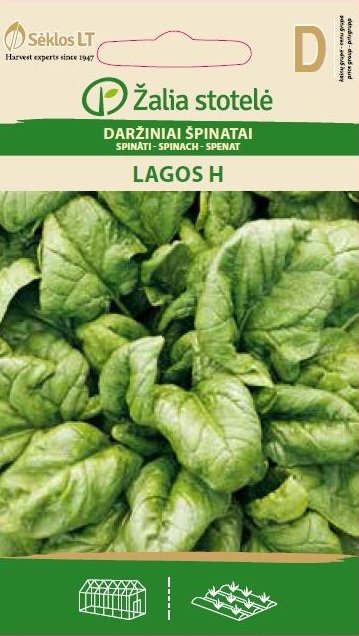 Spenat 'Lagos'