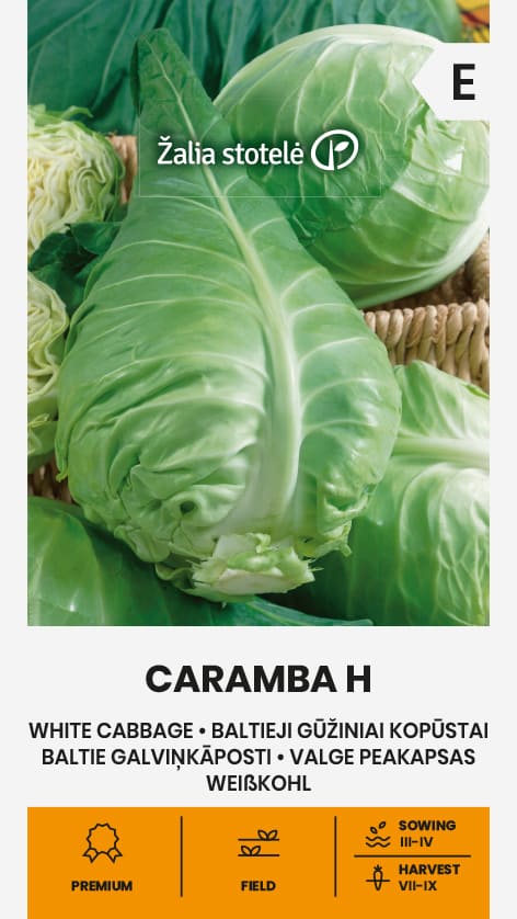 Spetskål Caramba Frö
