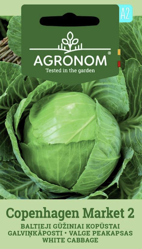 Vitkål Copenhagen Market 2 Frö