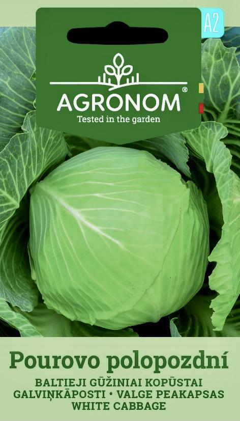 Vitkål Pourovo Polopozdni Frö