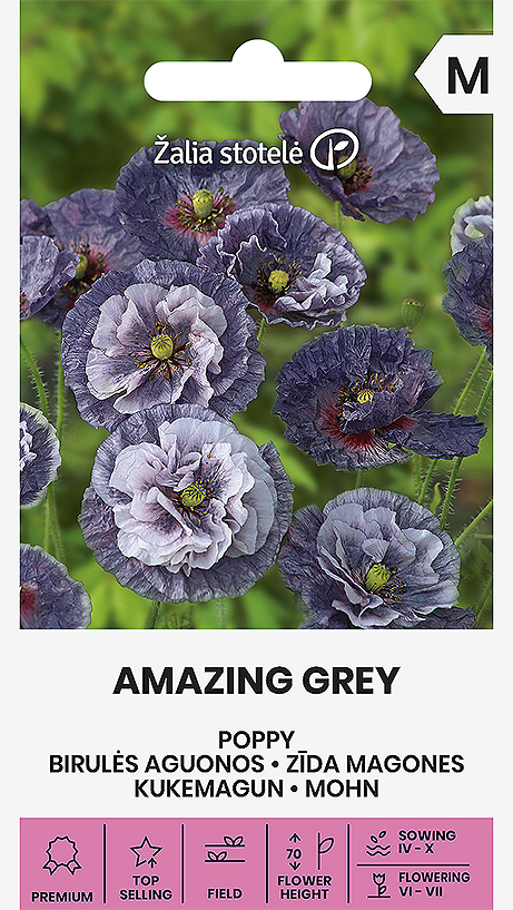 Kornvallmo Amazing Grey Frö