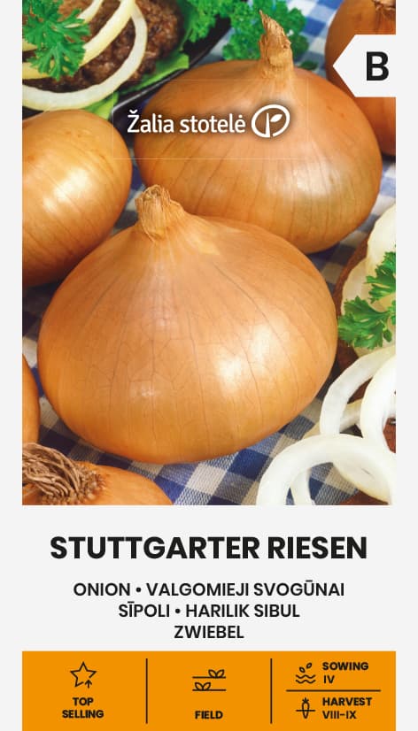 Gul lök Stuttgarter Riesen Frö