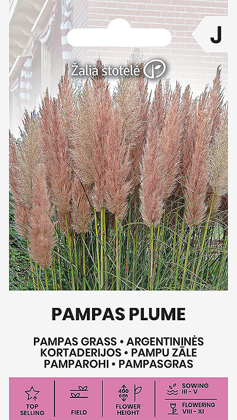 Pampasgräs Rosa Frö
