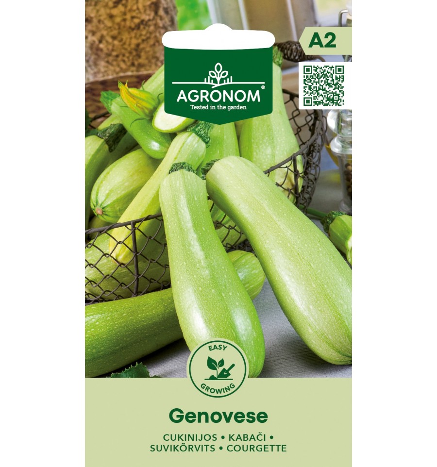 Squash Genovese Frö