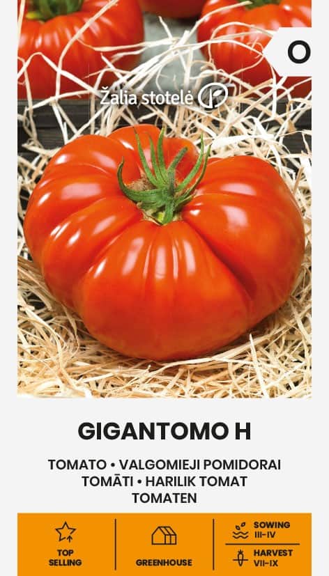 Tomat Gigantomo Frö