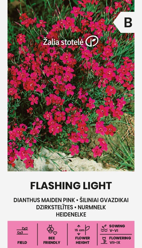Backnejlika Flashing Light Frö