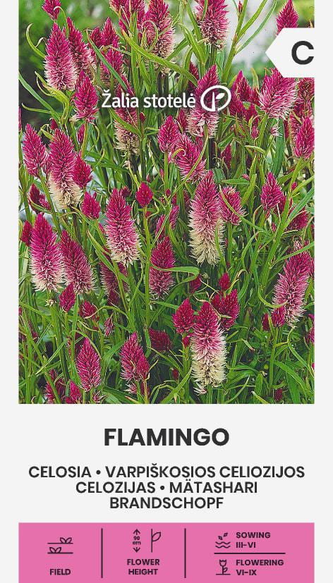Axamarant 'Flamingo Feather'