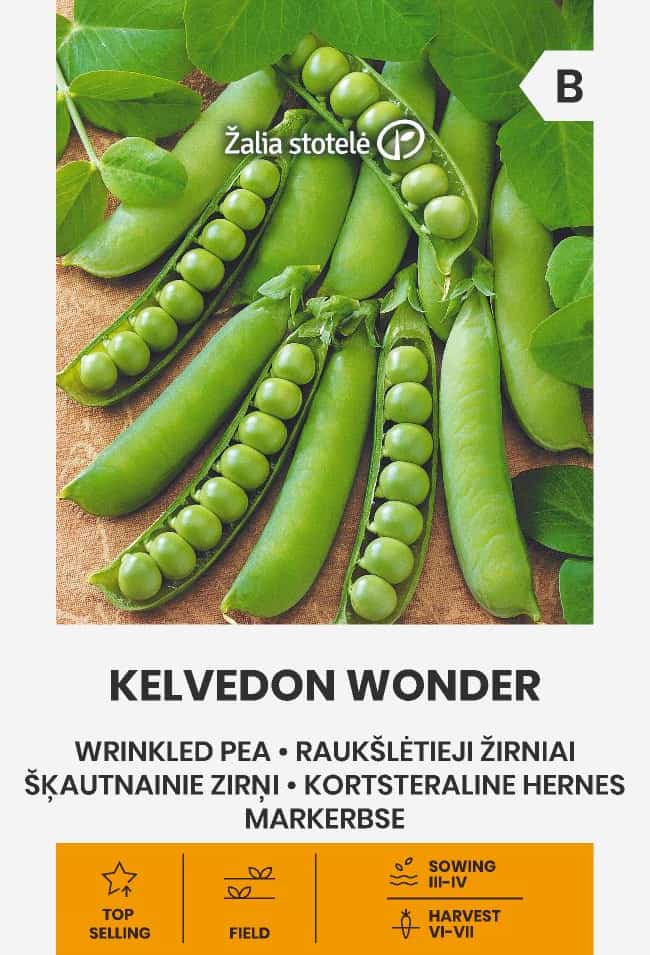 Märgärt Kelvedon Wonder Frö