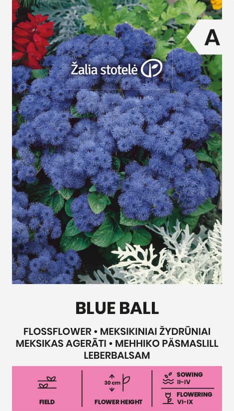Ageratum Blue Ball Frö