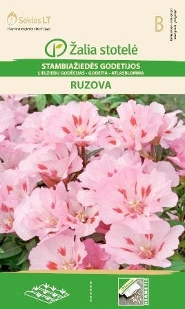 Atlasblomma Ruzova Pink Frö