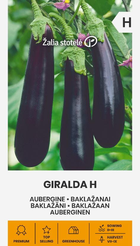 Aubergine Giralda H Frö