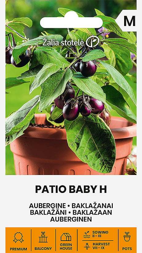 Aubergine Patio Baby Frö