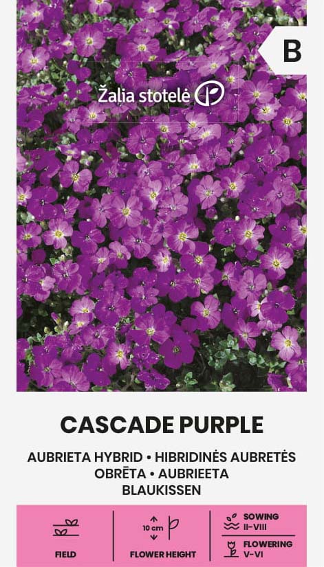 Aubrietia Cascade Purple Frö