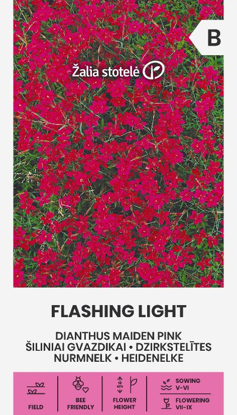 Backnejlika Flashing Light Frö