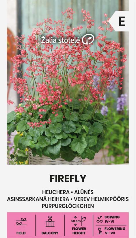 Blodalunrot Firefly Frö