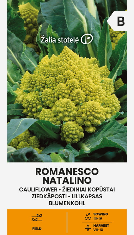 Blomkål Romanesco Natalino Frö
