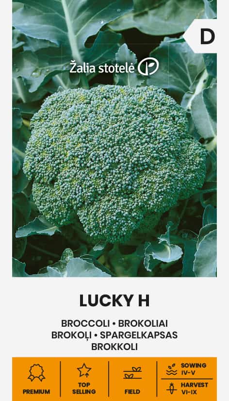 Broccoli Lucky Frö