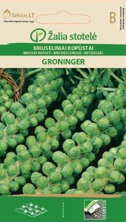 Brysselkål  Groninger Frö