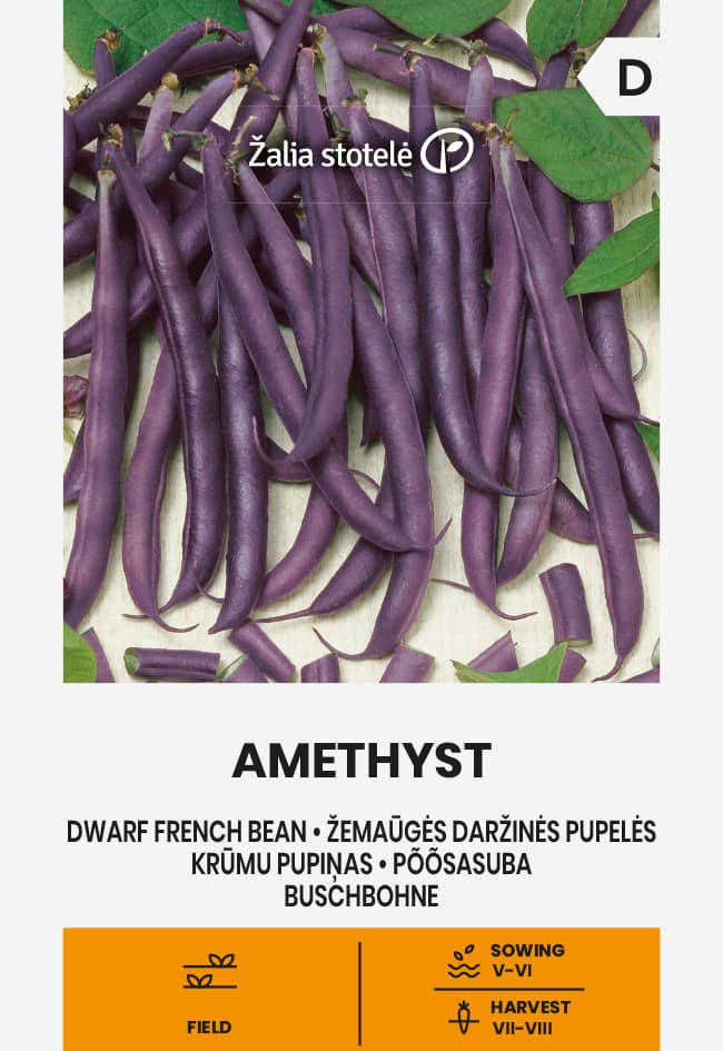 Brytböna Amethyst Frö