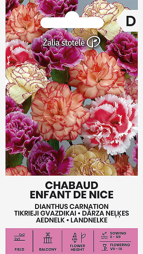 dianthus chabaud enfant de nice frö