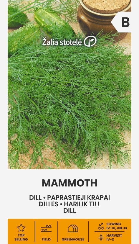 Dill Mammouth Frö